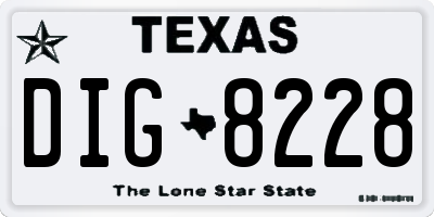 TX license plate DIG8228