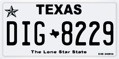 TX license plate DIG8229