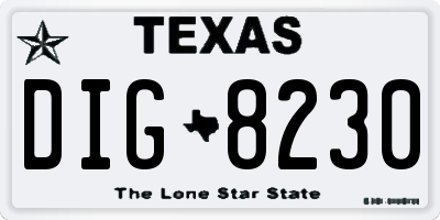 TX license plate DIG8230