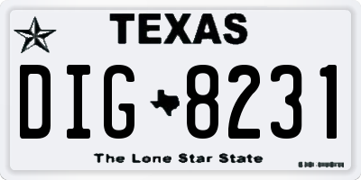TX license plate DIG8231