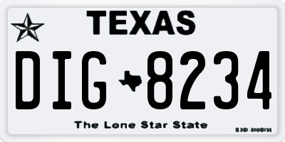 TX license plate DIG8234