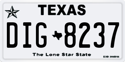 TX license plate DIG8237