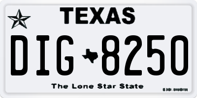 TX license plate DIG8250