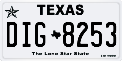 TX license plate DIG8253