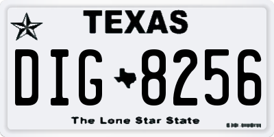 TX license plate DIG8256