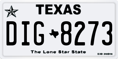TX license plate DIG8273