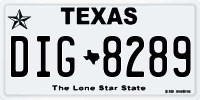 TX license plate DIG8289