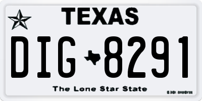 TX license plate DIG8291