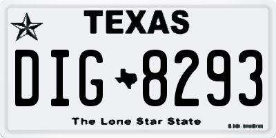 TX license plate DIG8293