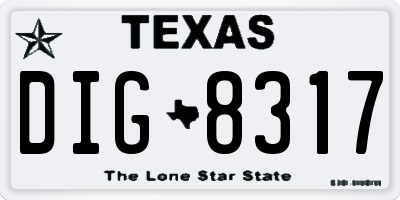 TX license plate DIG8317