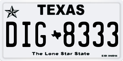 TX license plate DIG8333