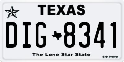 TX license plate DIG8341