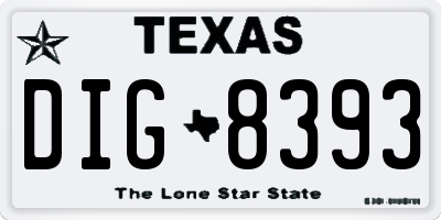 TX license plate DIG8393