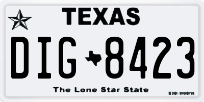 TX license plate DIG8423