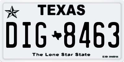 TX license plate DIG8463