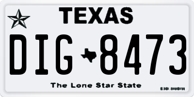 TX license plate DIG8473