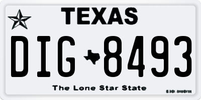 TX license plate DIG8493