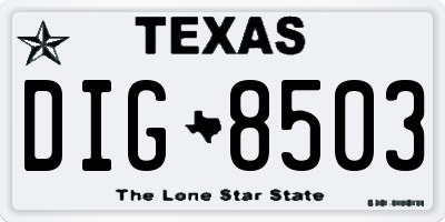 TX license plate DIG8503