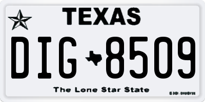 TX license plate DIG8509
