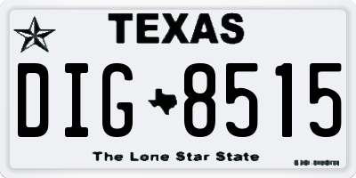 TX license plate DIG8515