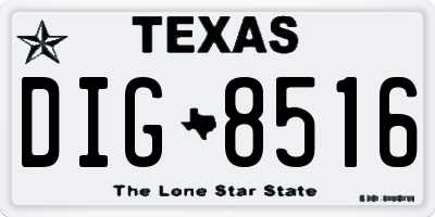 TX license plate DIG8516