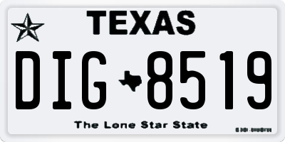 TX license plate DIG8519