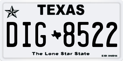 TX license plate DIG8522