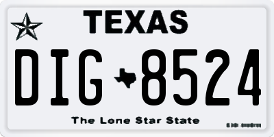 TX license plate DIG8524