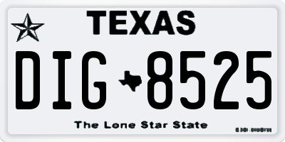 TX license plate DIG8525