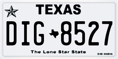 TX license plate DIG8527
