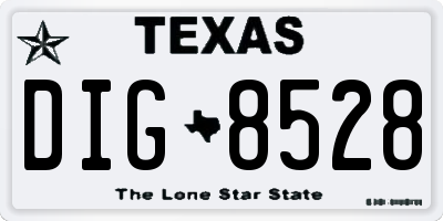 TX license plate DIG8528