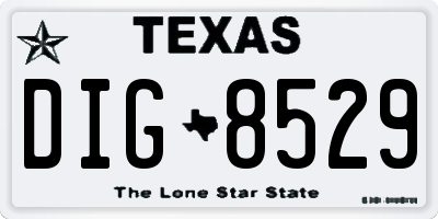 TX license plate DIG8529