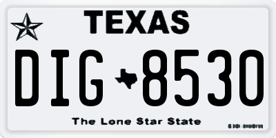 TX license plate DIG8530