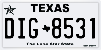 TX license plate DIG8531