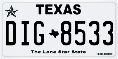 TX license plate DIG8533