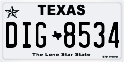 TX license plate DIG8534