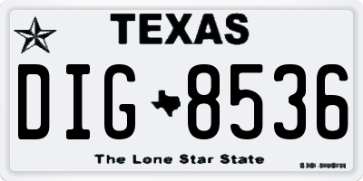 TX license plate DIG8536