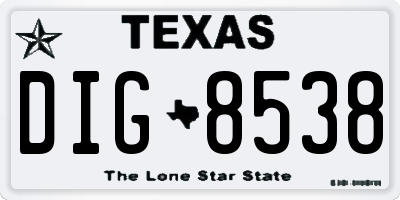 TX license plate DIG8538