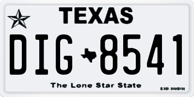 TX license plate DIG8541
