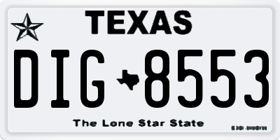 TX license plate DIG8553