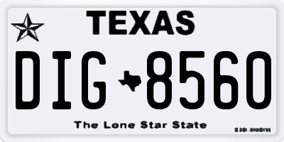 TX license plate DIG8560