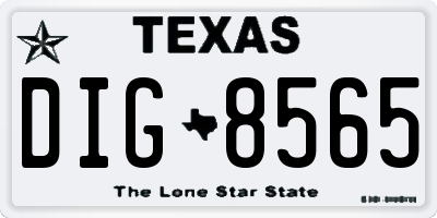 TX license plate DIG8565