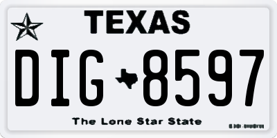 TX license plate DIG8597