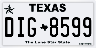 TX license plate DIG8599