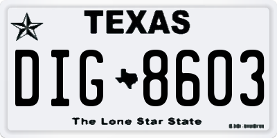 TX license plate DIG8603