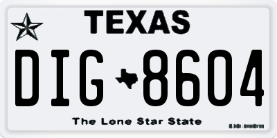 TX license plate DIG8604