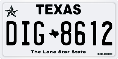 TX license plate DIG8612