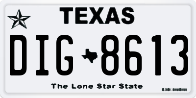 TX license plate DIG8613