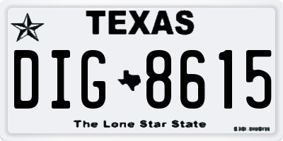 TX license plate DIG8615