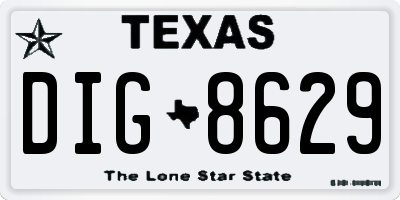 TX license plate DIG8629